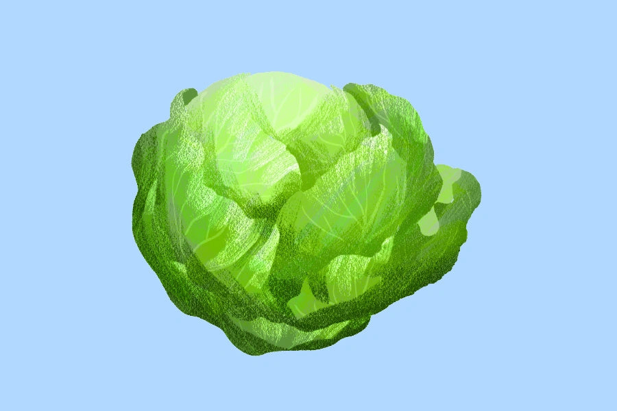 Cabbage