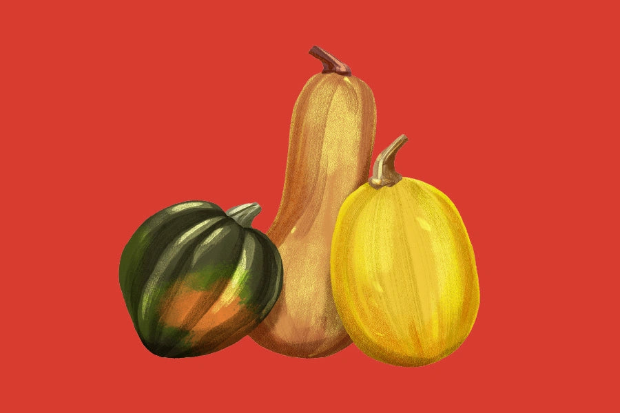 Squash Hardshell