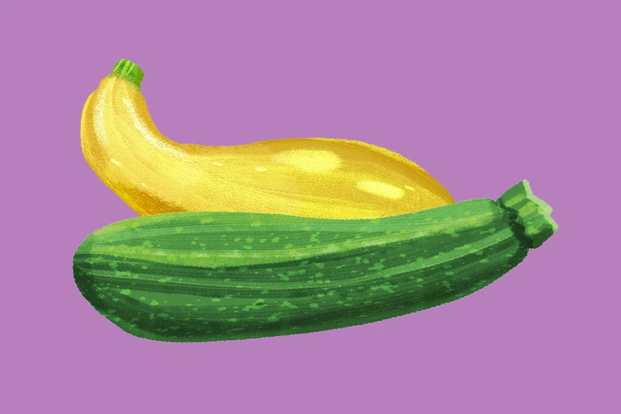 Squash Softshell